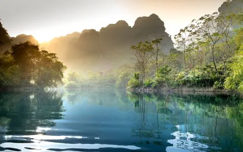 全自动高端